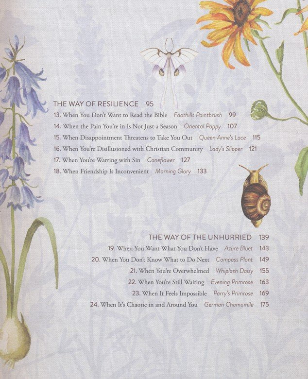 The Way of the Wildflower: Gospel Meditations to Unburden Your Anxious Soul