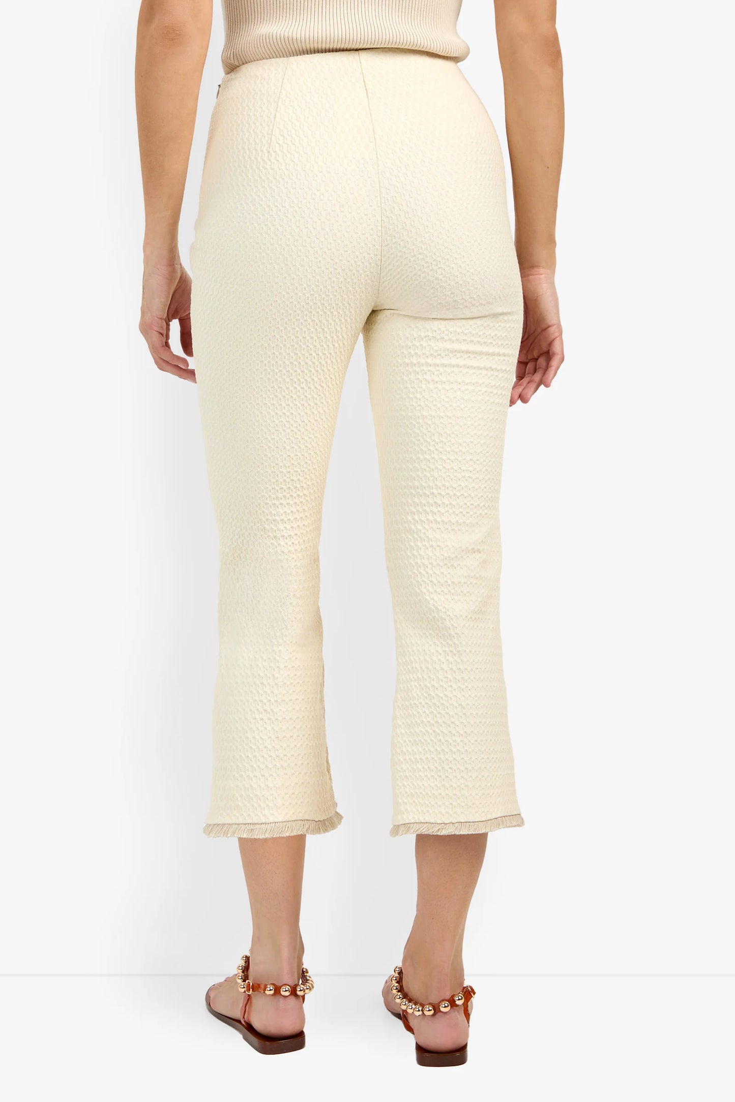 Gulf Pant