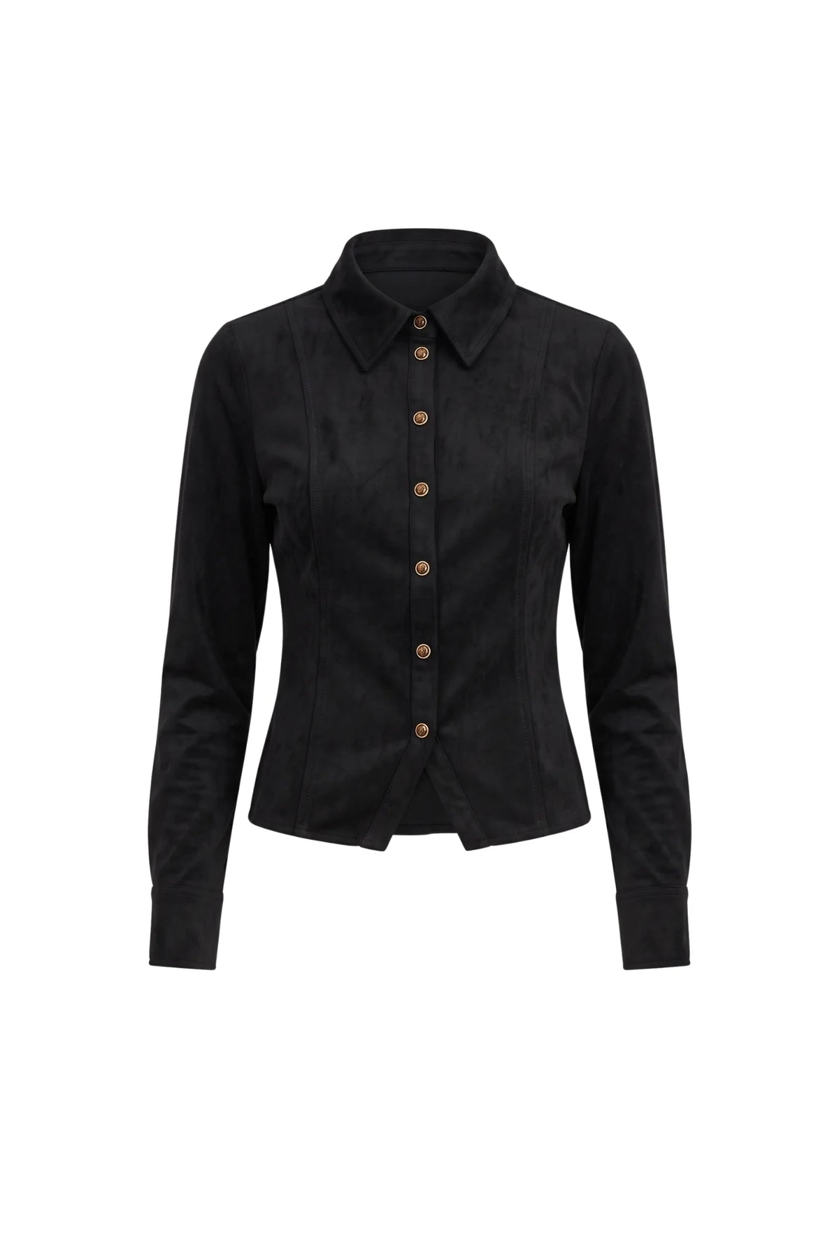 Beck Button Down