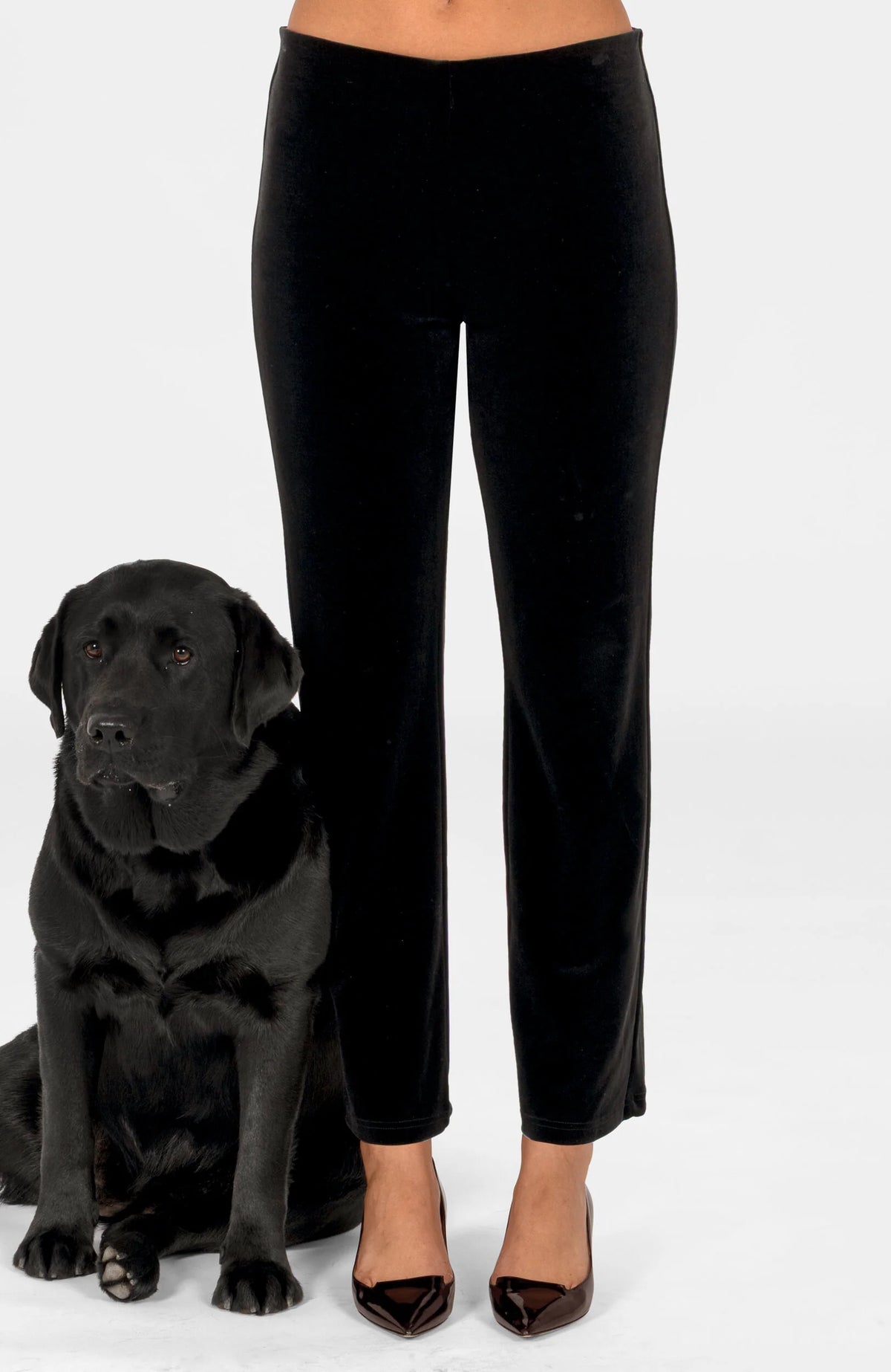 Column Velvet Pant